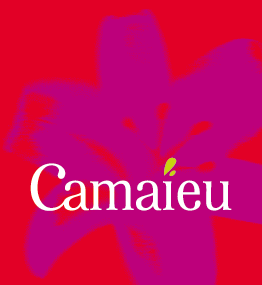 camaieu solde chaussures